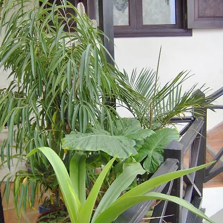 Apartamento Monasterio De San Antonio - Adults Only *