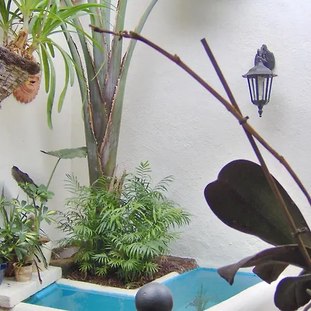 Apartmán Monasterio De San Antonio - Adults Only *