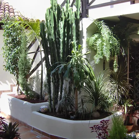 Apartmán Monasterio De San Antonio - Adults Only Icod De Los Vinos